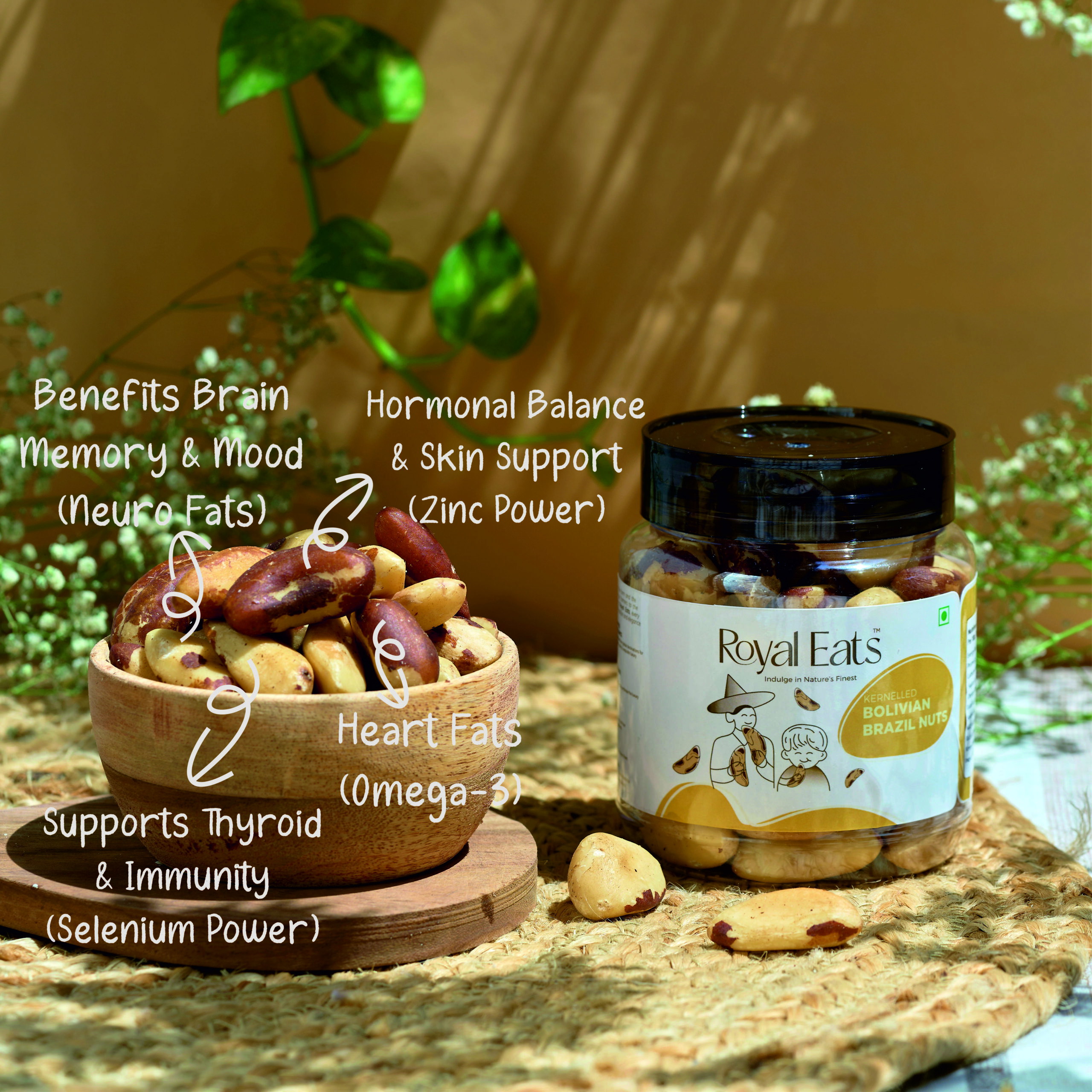 Kernelled Bolivian Brazil Nuts - Image 2